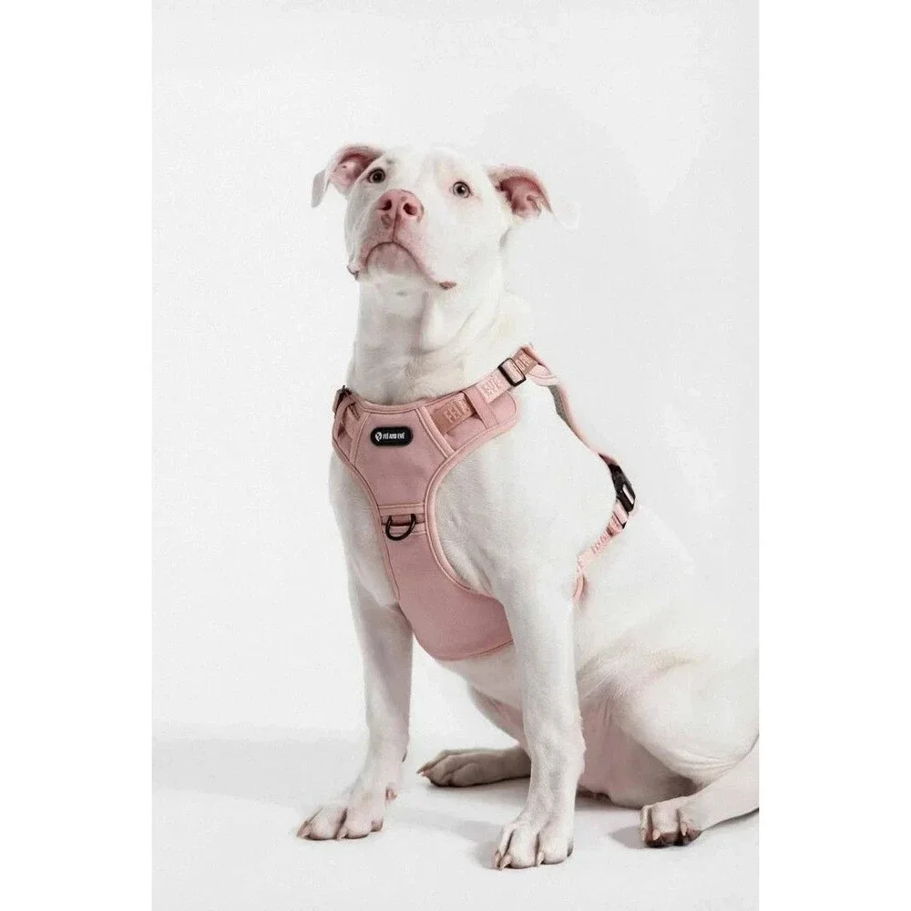 Fei And Eve Dog Classic Mag Ease Harness- Blush Pink / Size Small